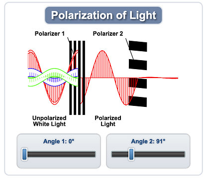 cross-polarization-demo-image.jpg